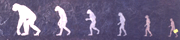 Sign In